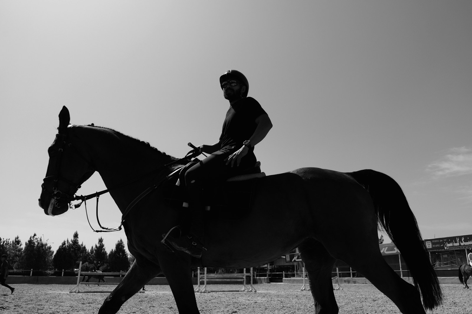 A rider on horseback in an open landscape