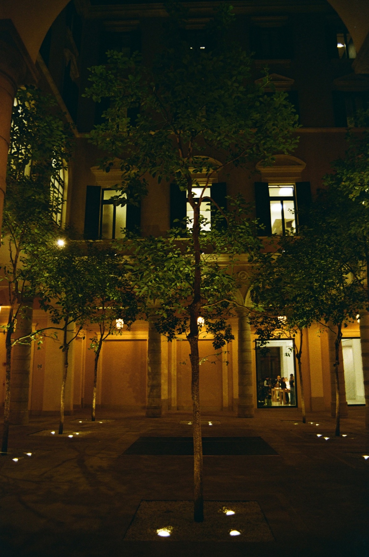 A contemporary museum courtyard with trees and curved walls under a clear sky